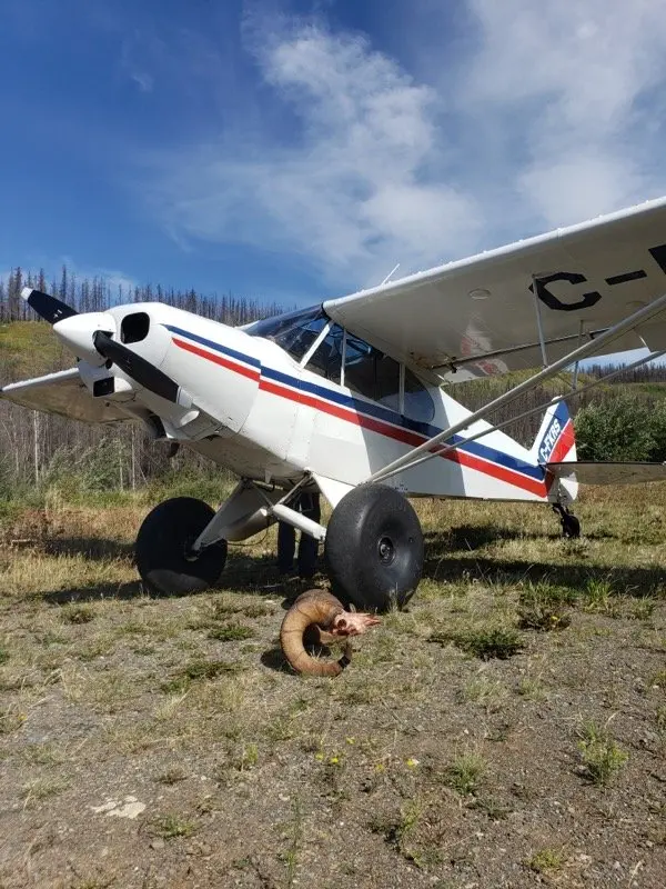1957 Piper PA18S for Sale | Aircraft101