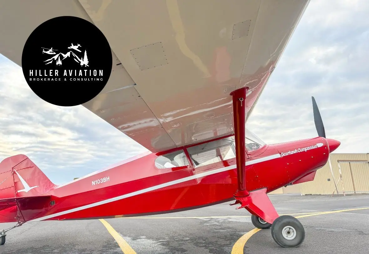 2021 Bearhawk Companion for Sale | Aircraft101