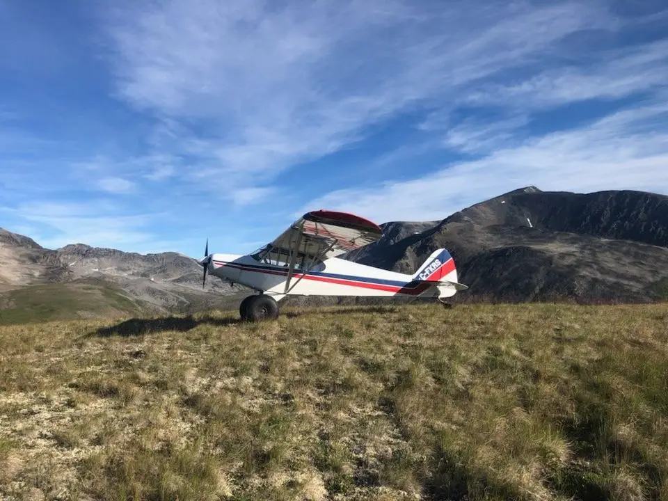 1957 Piper PA18S for Sale | Aircraft101