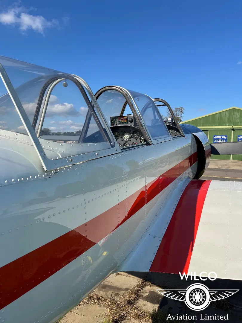 1987 Yakovlev Yak 52 for Sale | Aircraft101